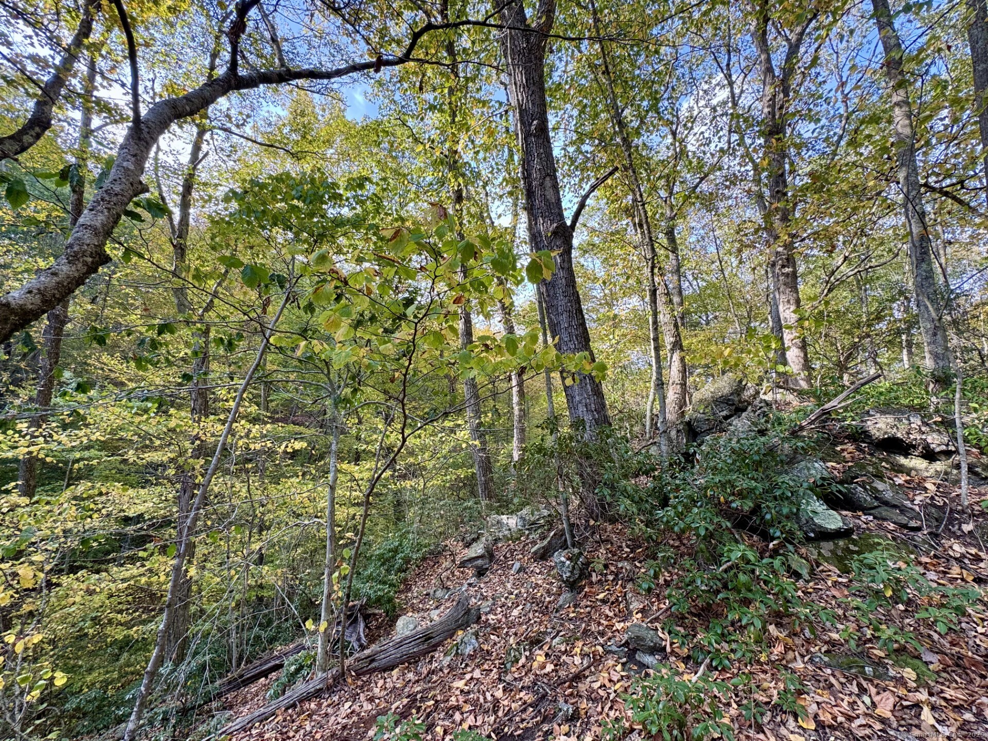 69 Moosehorn Road Roxbury, CT 06783 - Photo 9 of 13