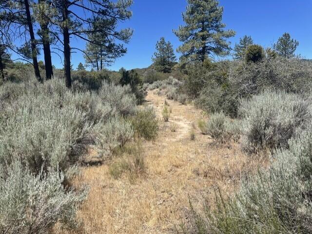 0 Devils Ladder Road Mountain Center, CA 92561 - Photo 10 of 10 Rothe lot.8