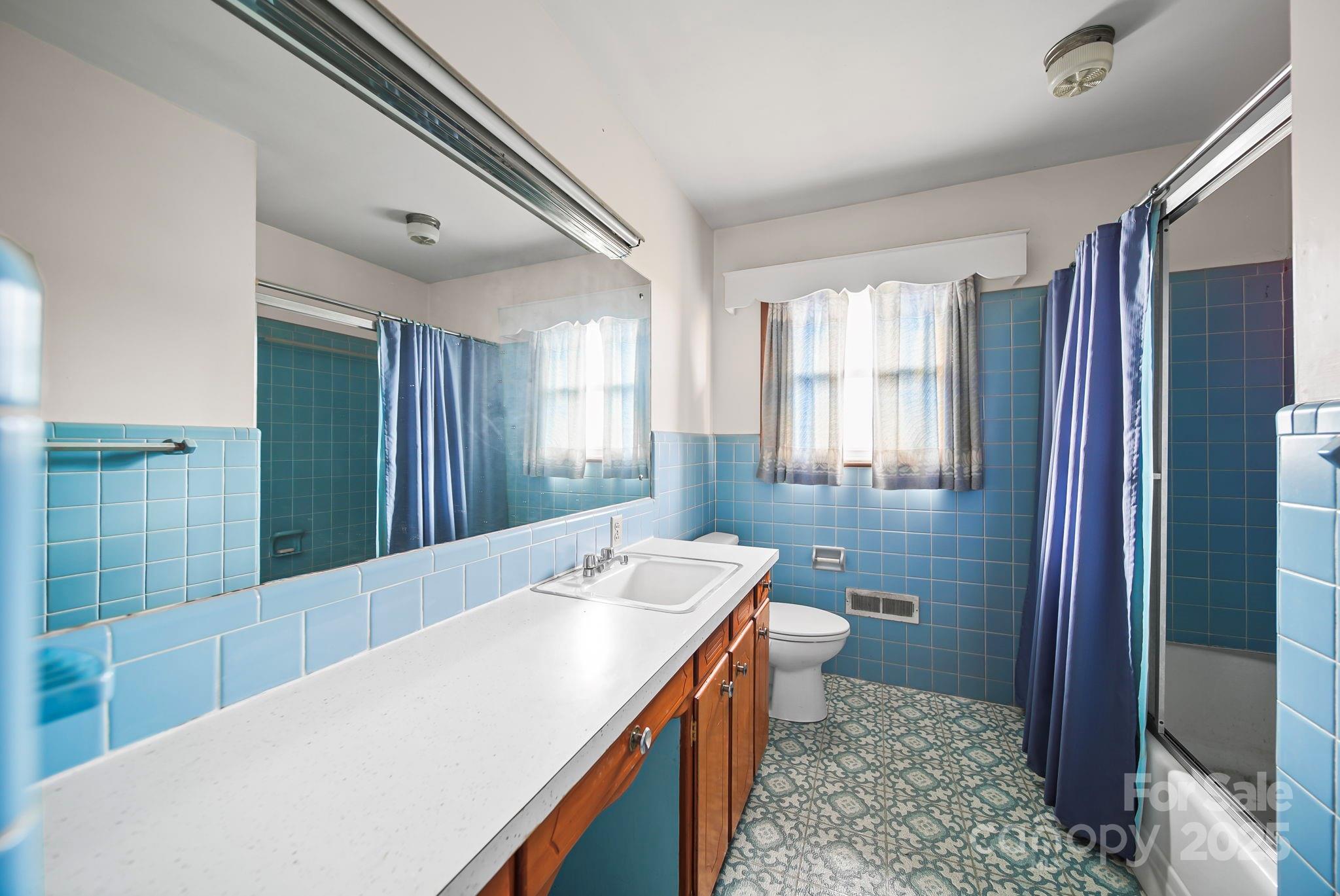 3710 Camden Road Marshville, NC 28103 - Photo 29 of 38 a bathroom with a sink a toilet a mirror and shower