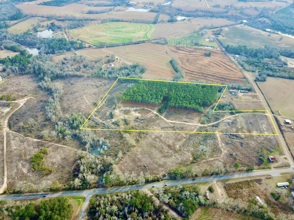 20-acres Hudson Road Columbia, AL 36319 - Photo 3 of 40