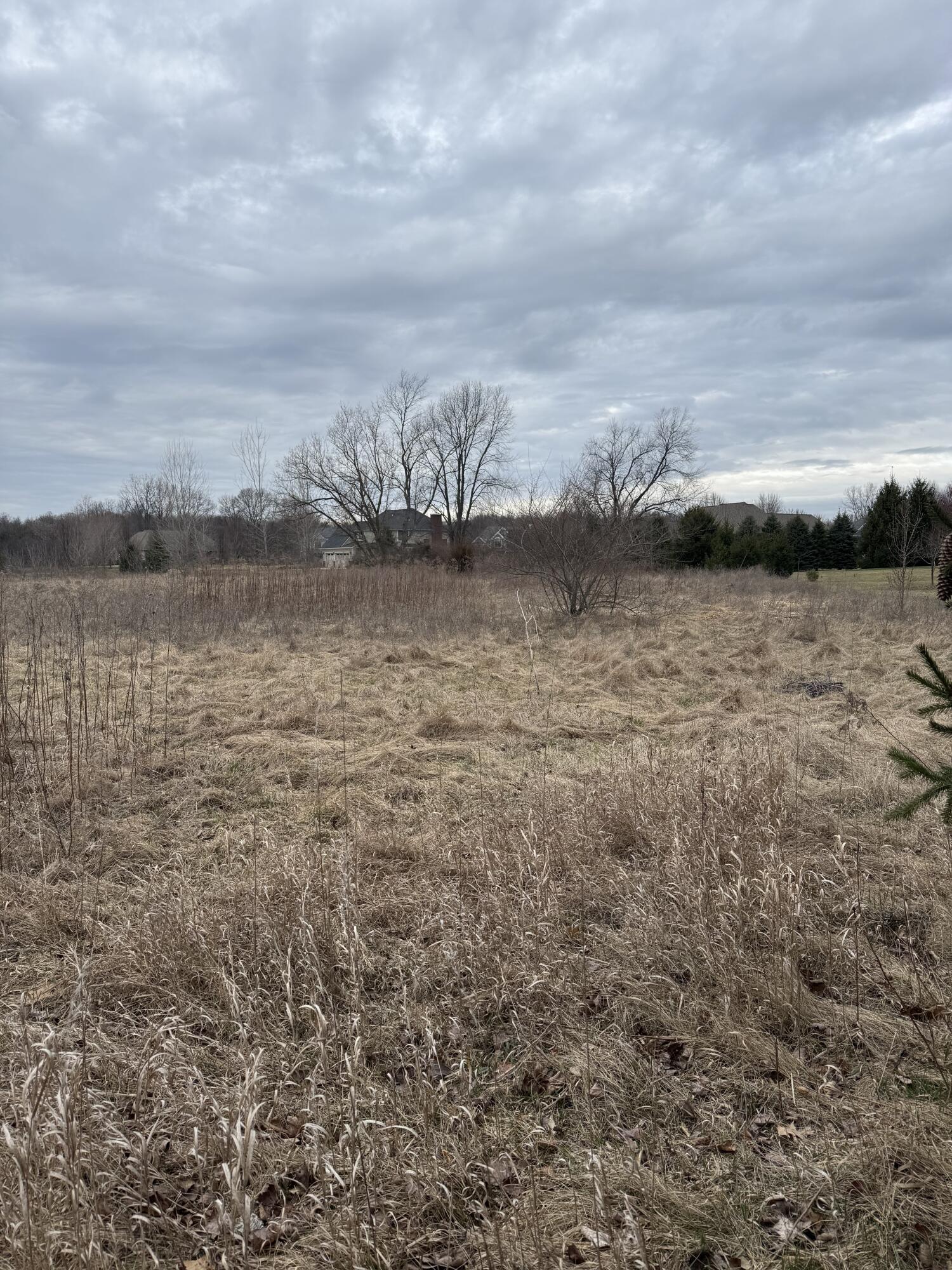 7118 Ridge Line Circle Dexter, MI 48130 - Photo 6 of 8 IMG_0083