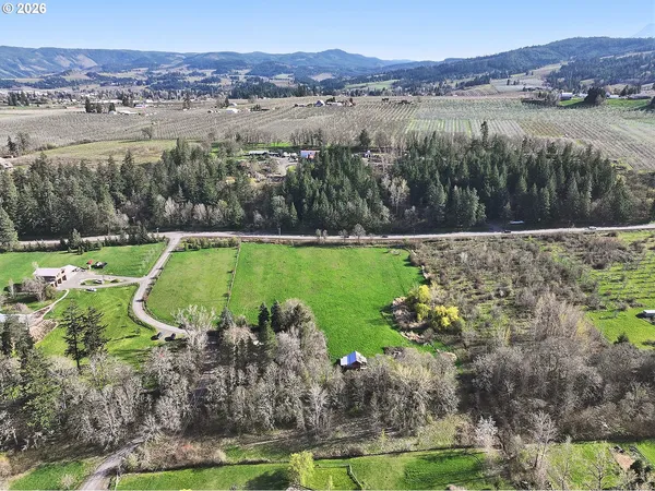 a view of a garden with a bench