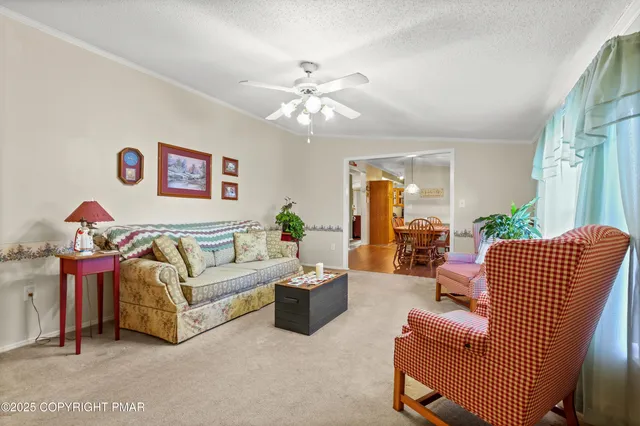 a living room with furniture flowerpot and window