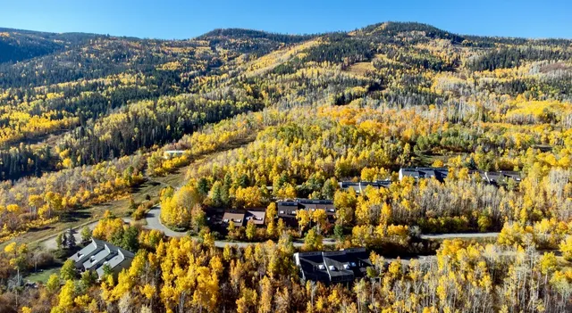 an aerial view of residential building and lake