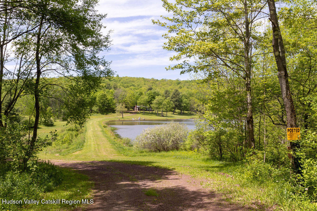540 Sal Bren Road Meredith, NY 13753 - Photo 45 of 53 540-Sal-Bren-Rd_134
