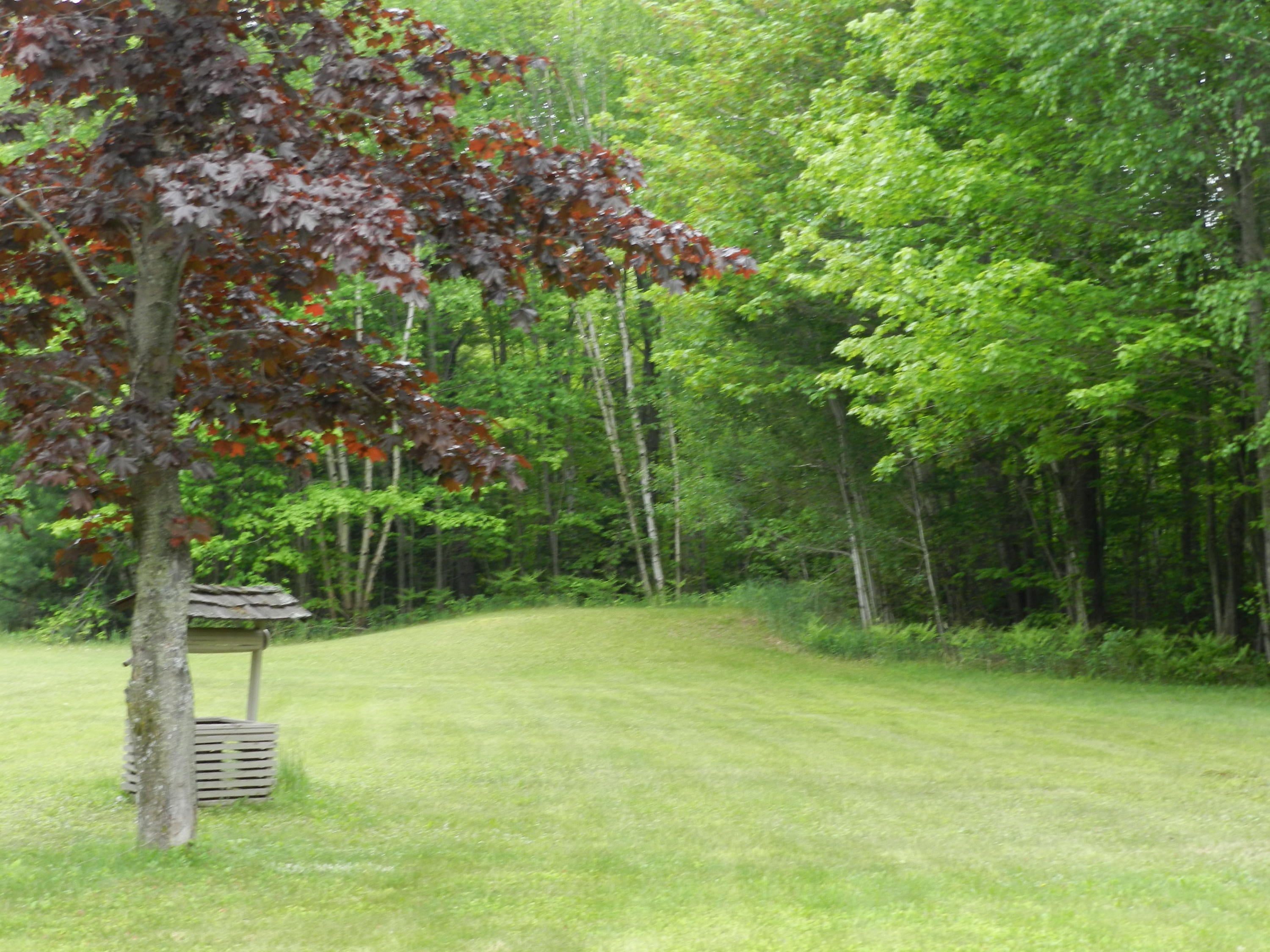 2578 Gilpin Road Cheboygan, MI 49721 - Photo 3 of 16 Gallery Image 3