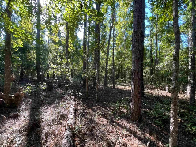 $34,500 | Vacant North Forest Court, Monticello, FL 32344