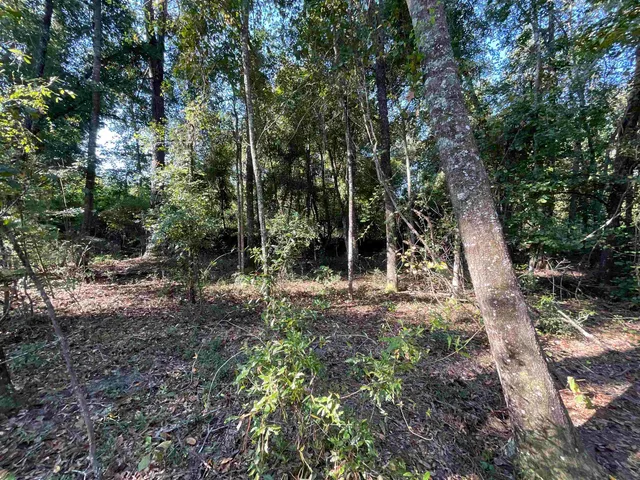 $34,500 | Vacant North Forest Court, Monticello, FL 32344