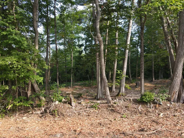 $46,500 | Lot 2 Oak Pond Road, Canaan, ME 04924