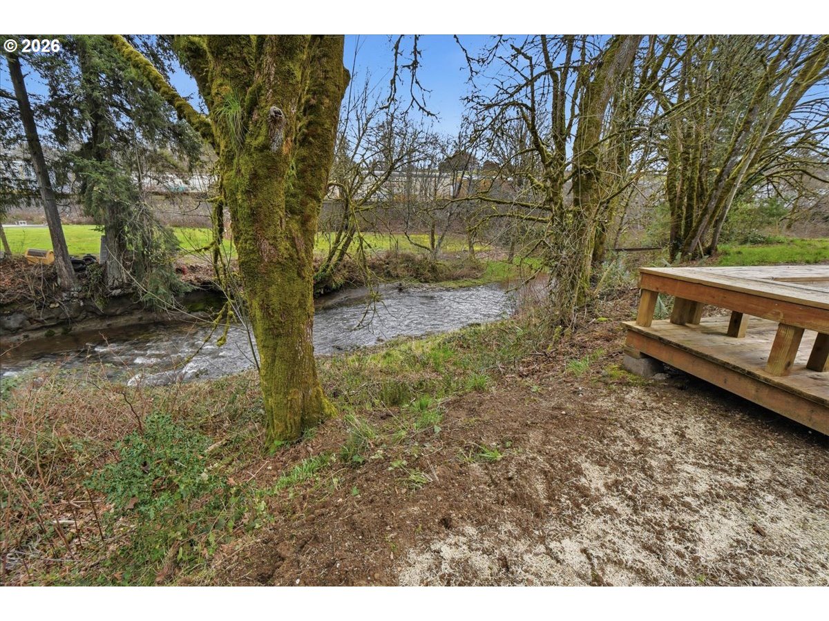 1313 Hining Road Winlock, WA 98596 - Photo 41 of 46 a view of a yard with large trees