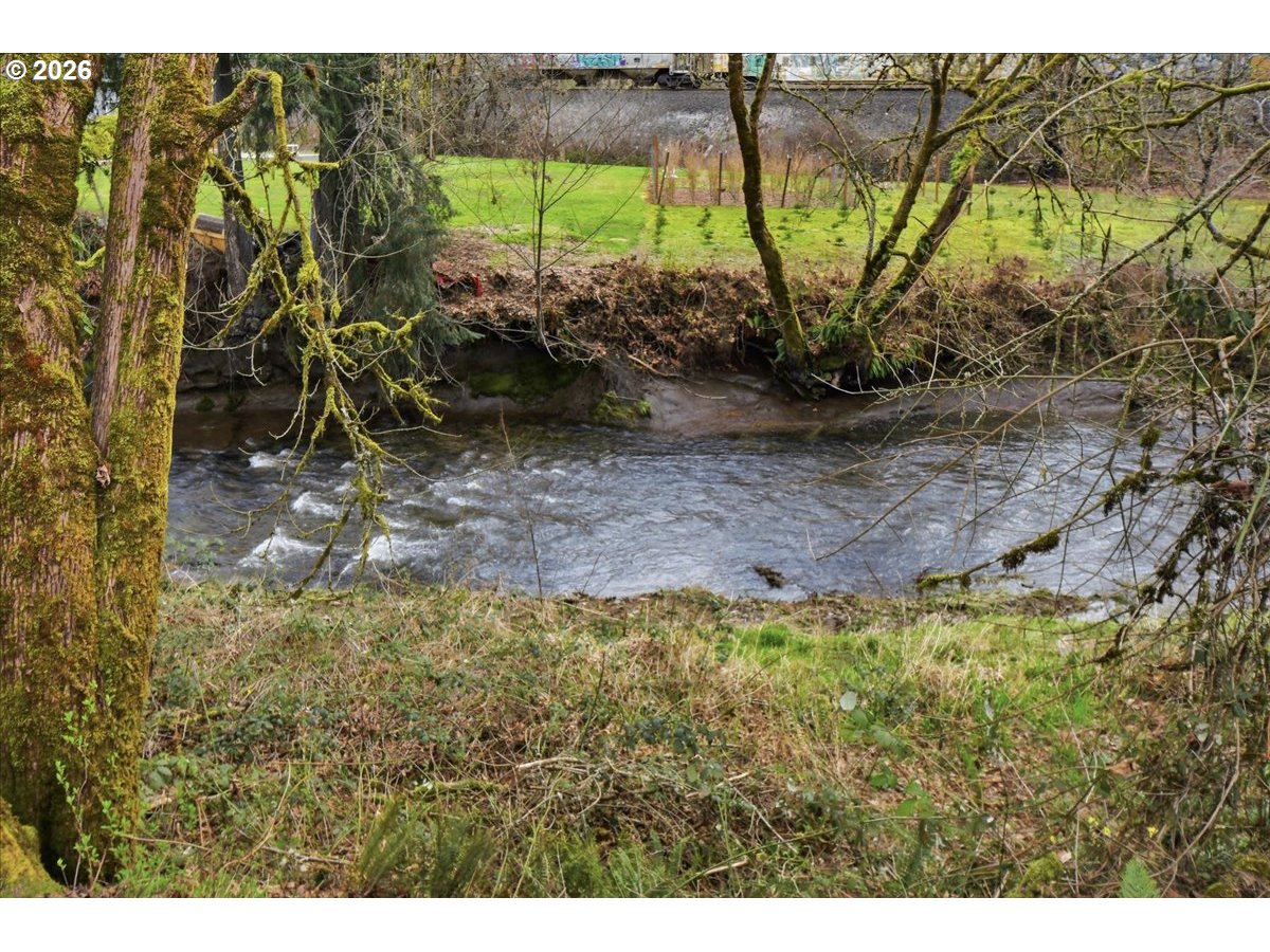 1313 Hining Road Winlock, WA 98596 - Photo 42 of 46 a view of a yard with a tree