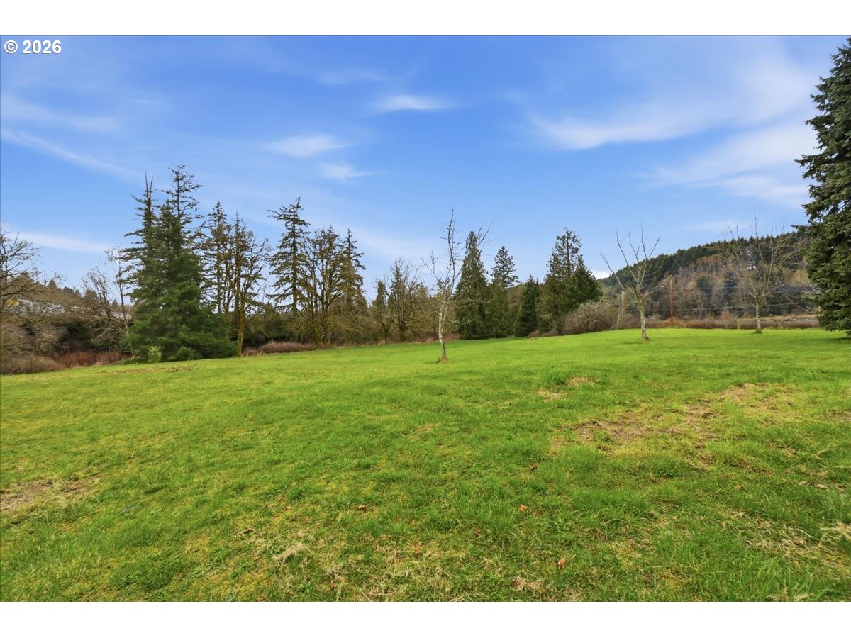 1313 Hining Road Winlock, WA 98596 - Photo 44 of 46 a view of a field with an trees in the background
