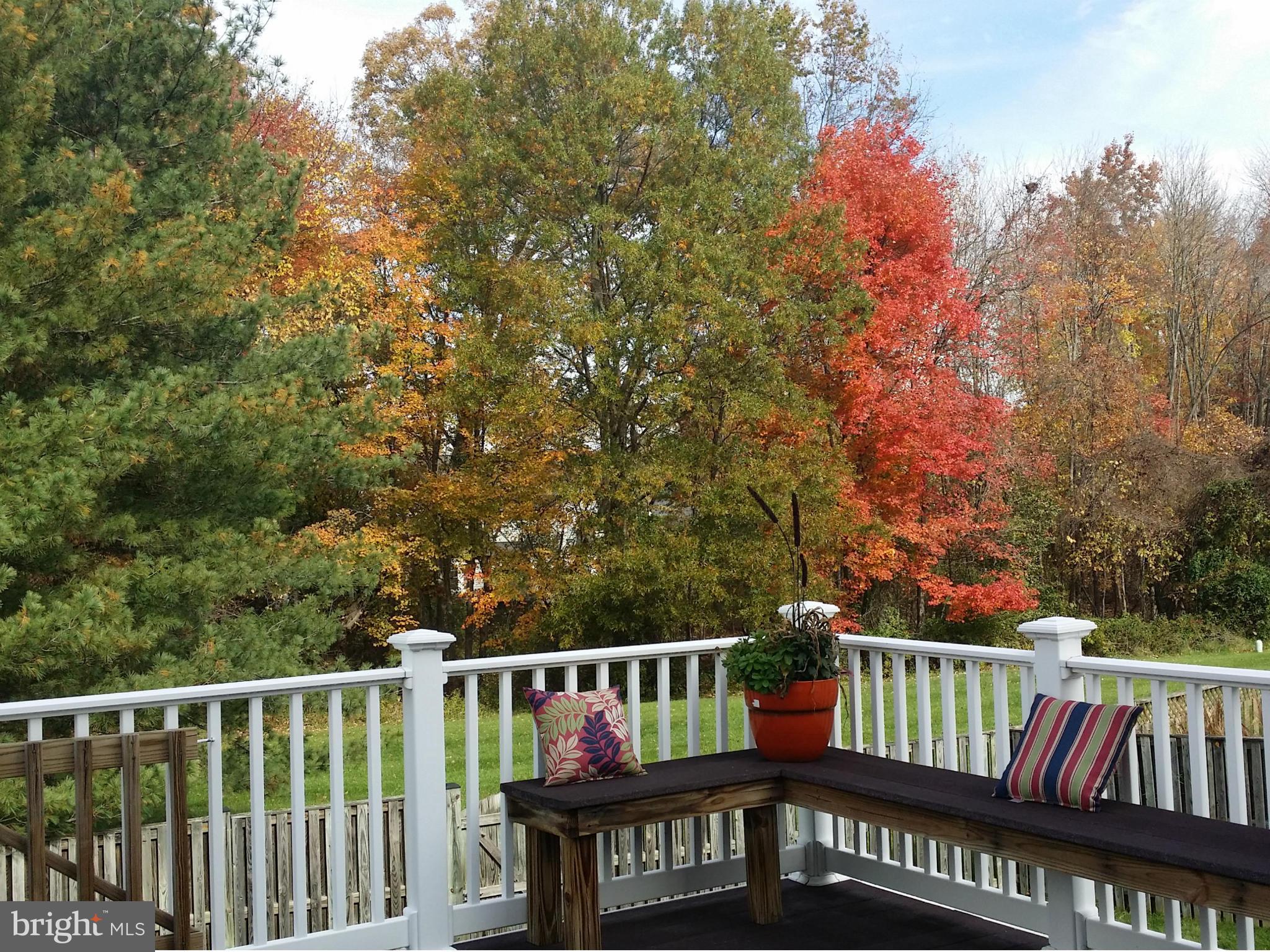 120 Environs Road Sterling, VA 20165 - Photo 3 of 30 Fenced Yard Backs to Mature Trees