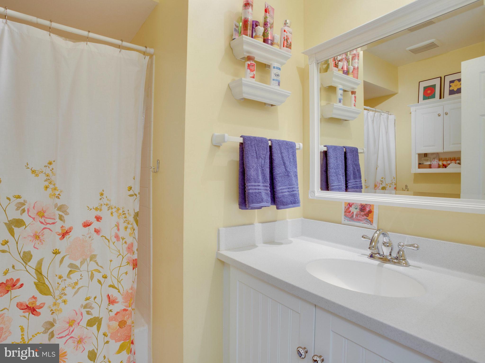 120 Environs Road Sterling, VA 20165 - Photo 20 of 30 Upper Level Guest Bath with Updated Vanity