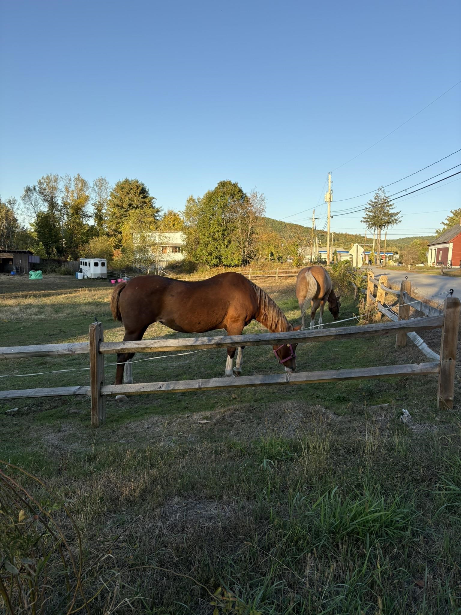 19 Back Ashuelot Road Winchester, NH 03470 - Photo 26 of 26