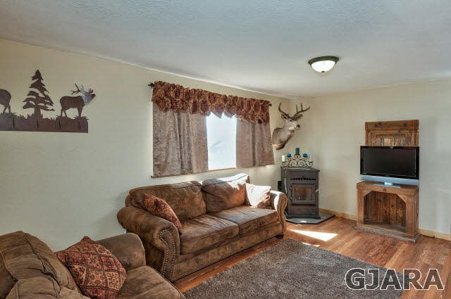 1190-18 18 1/2 Road Fruita, CO 81521 - Photo 6 of 35 a living room with furniture and a flat screen tv