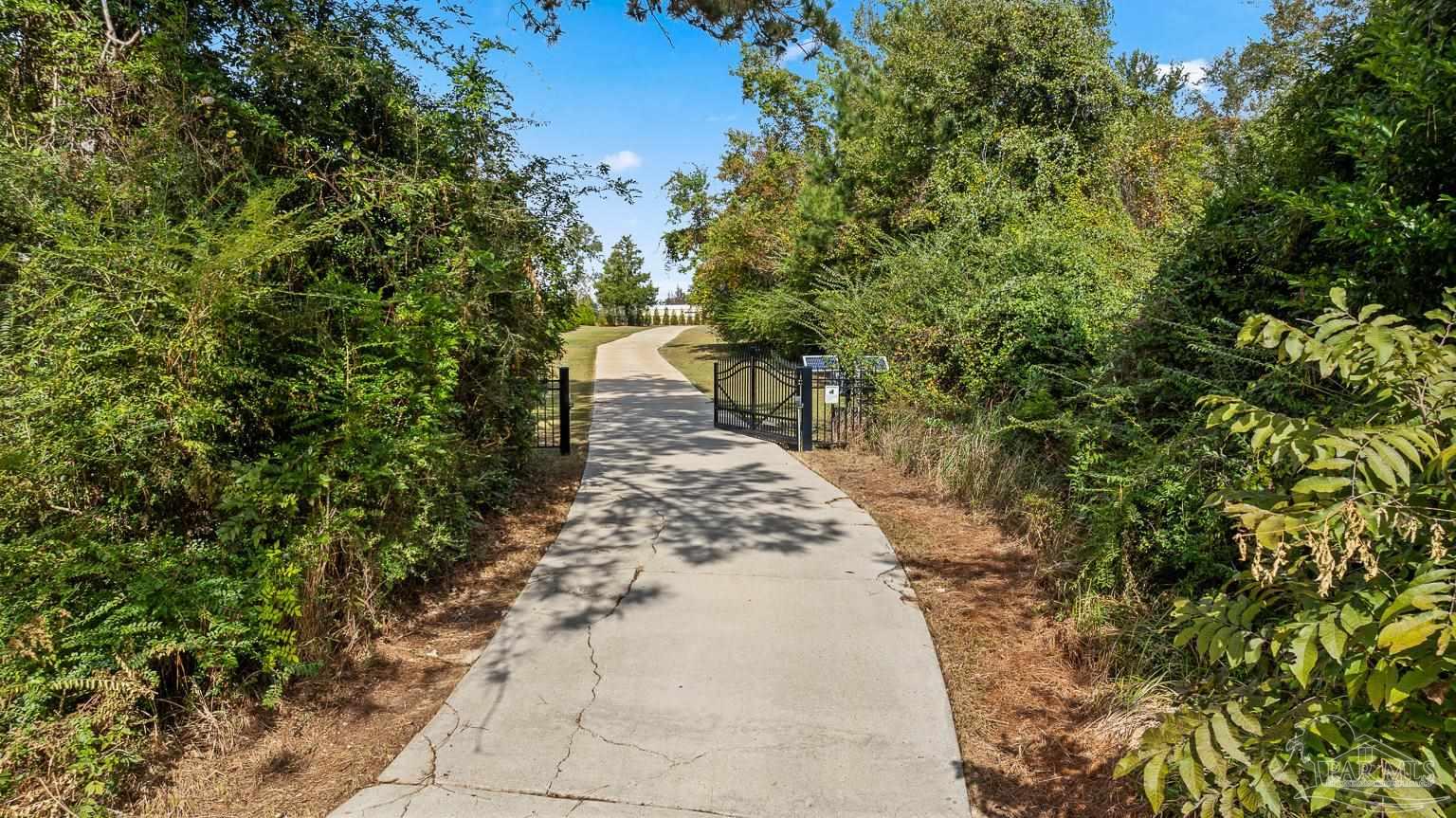 3550 Molino Road Molino, FL 32577 - Photo 3 of 68 a view of a yard with plants and trees