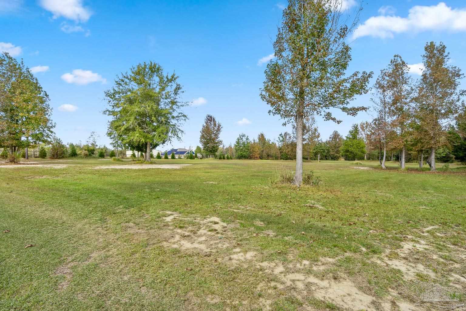 3550 Molino Road Molino, FL 32577 - Photo 61 of 68 a view of a field with trees