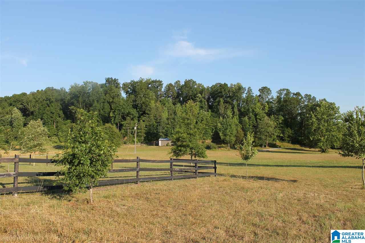 153 Ranch Road Jacksonville, AL 36265 - Photo 16 of 28