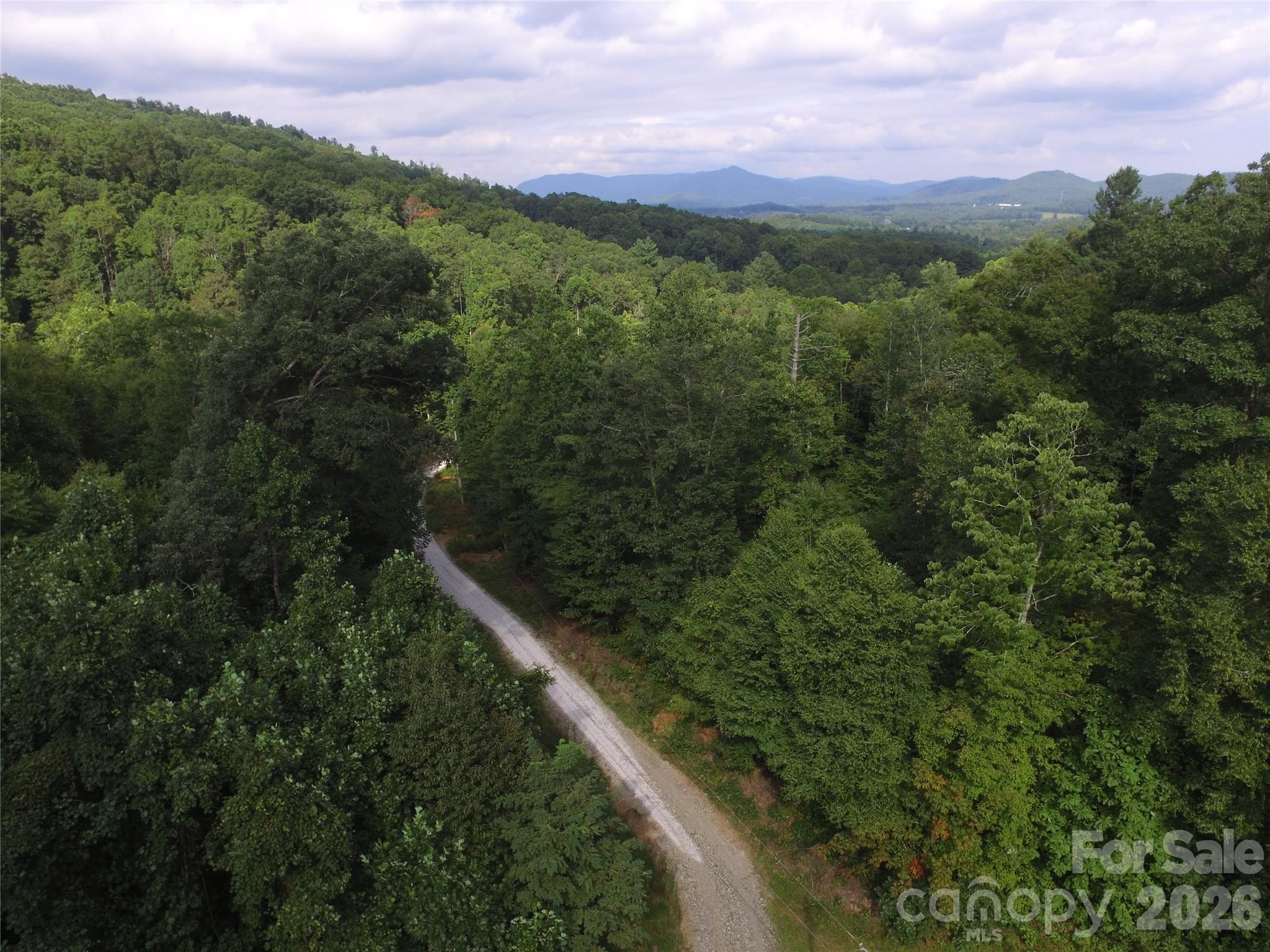 Tbd Pond Road Spruce Pine, NC 28777 - Photo 6 of 11 Gallery Image 6