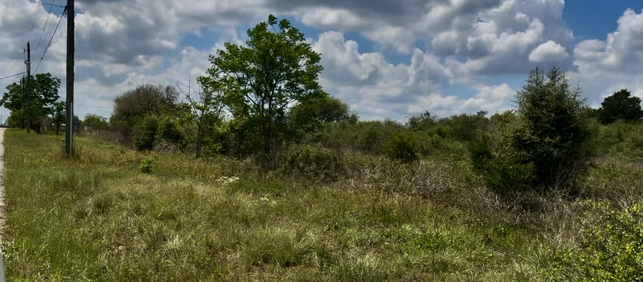 5815 Wildflower Road Sealy, TX 77474 - Photo 1 of 7