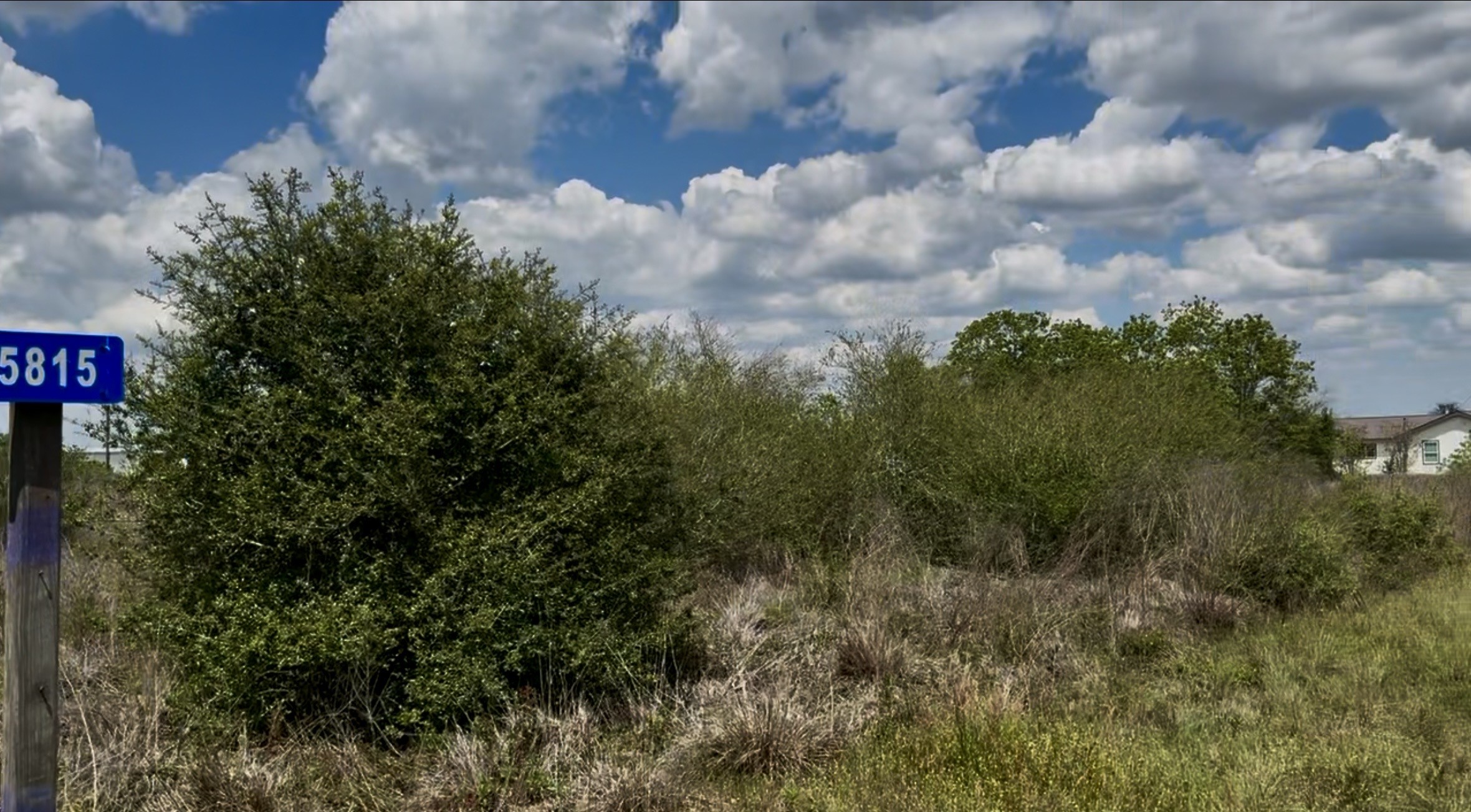 5815 Wildflower Road Sealy, TX 77474 - Photo 5 of 7 a view of a bunch of trees