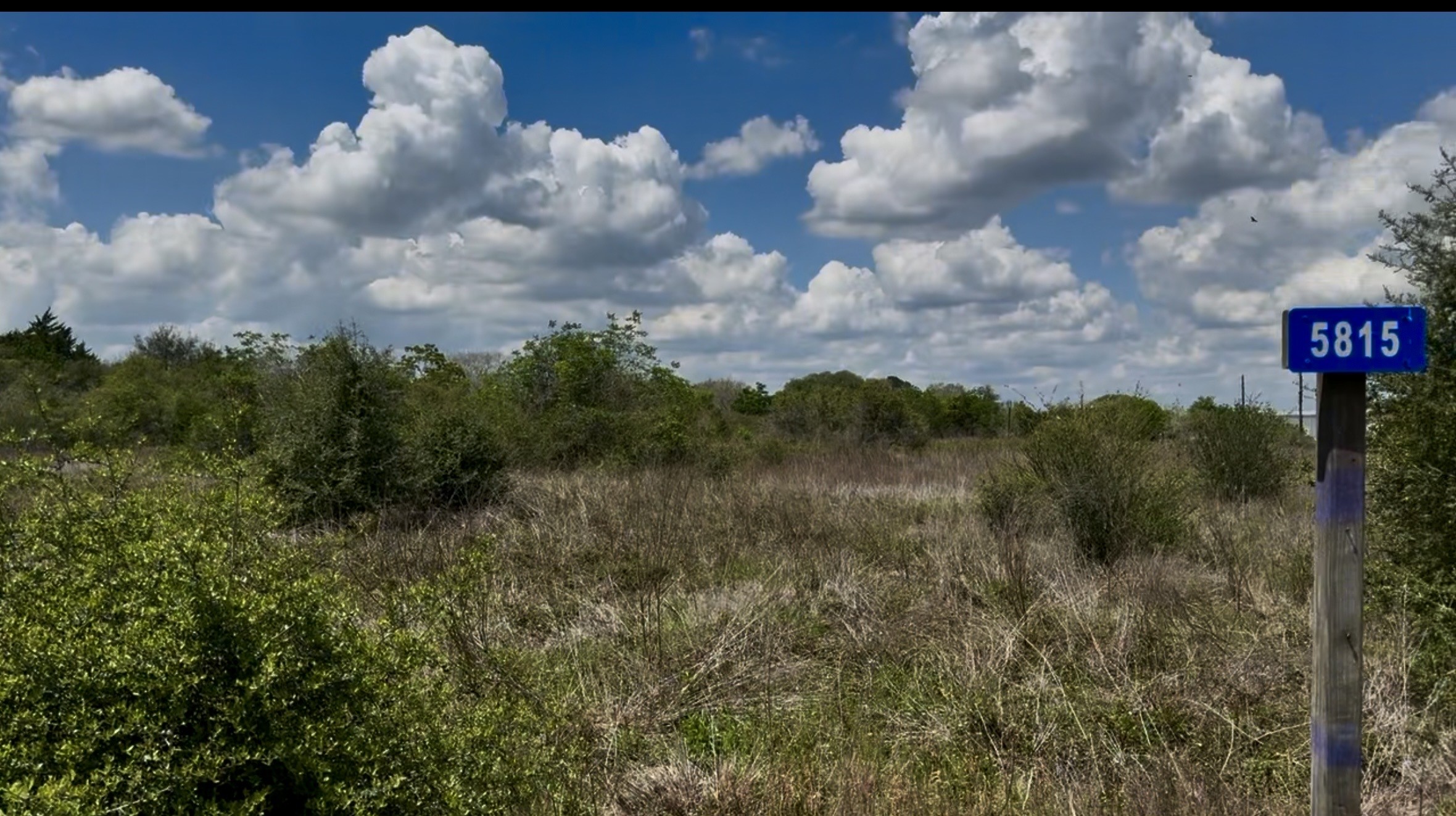 5815 Wildflower Road Sealy, TX 77474 - Photo 7 of 7 a view of a lot of trees and sky