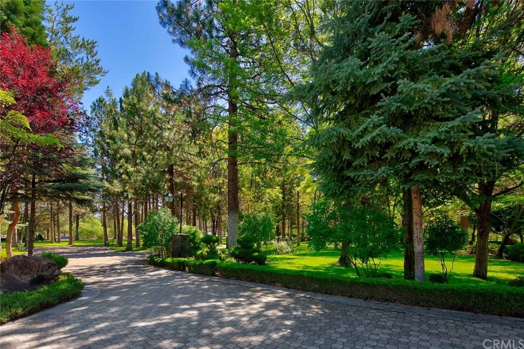 15733 Juniper Peak Road Weed, CA 96094 - Photo 15 of 74 a view of a park with large trees