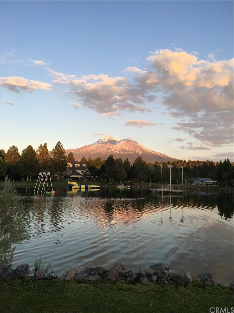 15733 Juniper Peak Road Weed, CA 96094 - Photo 20 of 74 Swimming Pond With Toys