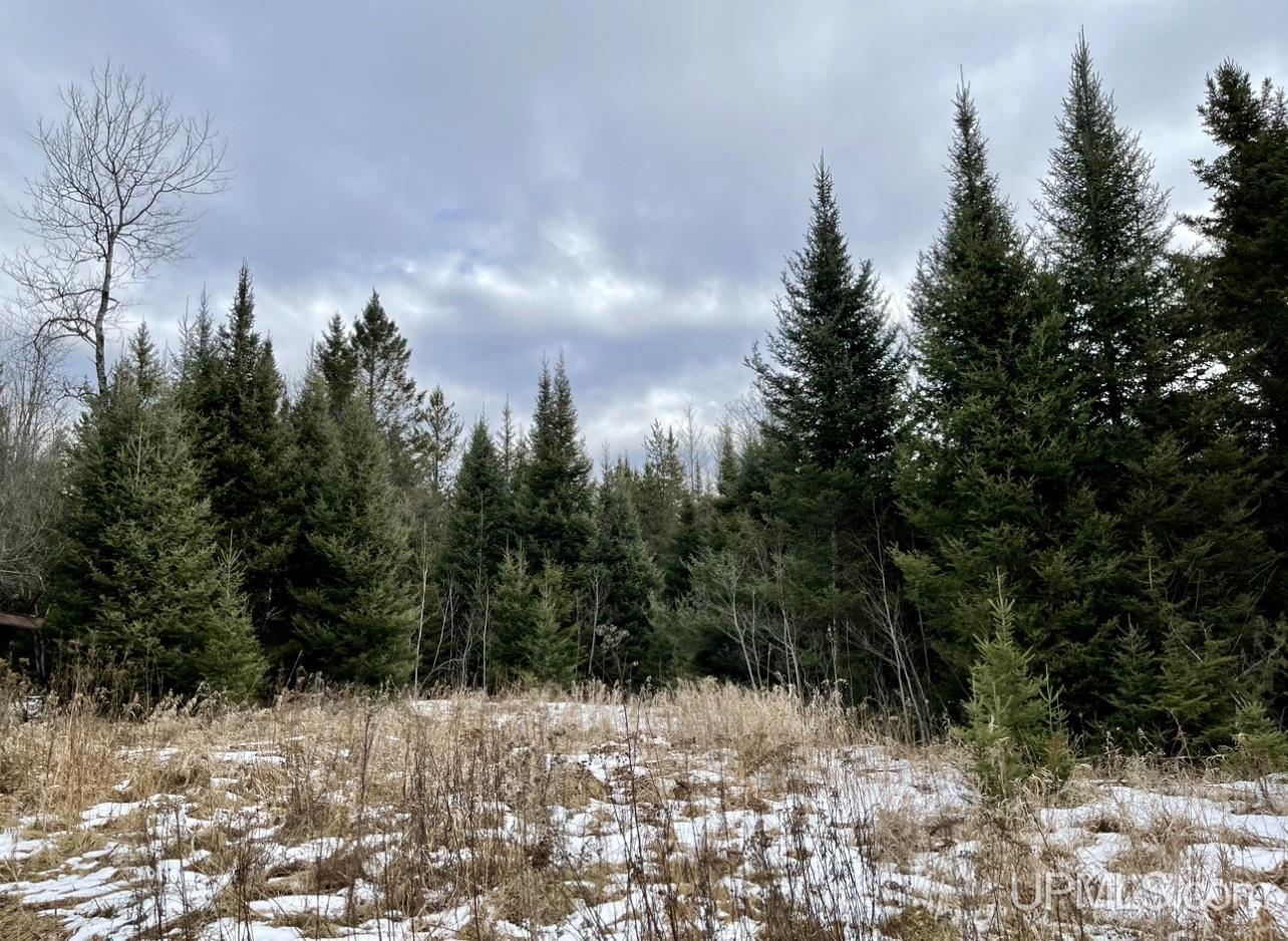 Tbd Smoky Lake Road Iron River, MI 49935 - Photo 4 of 5