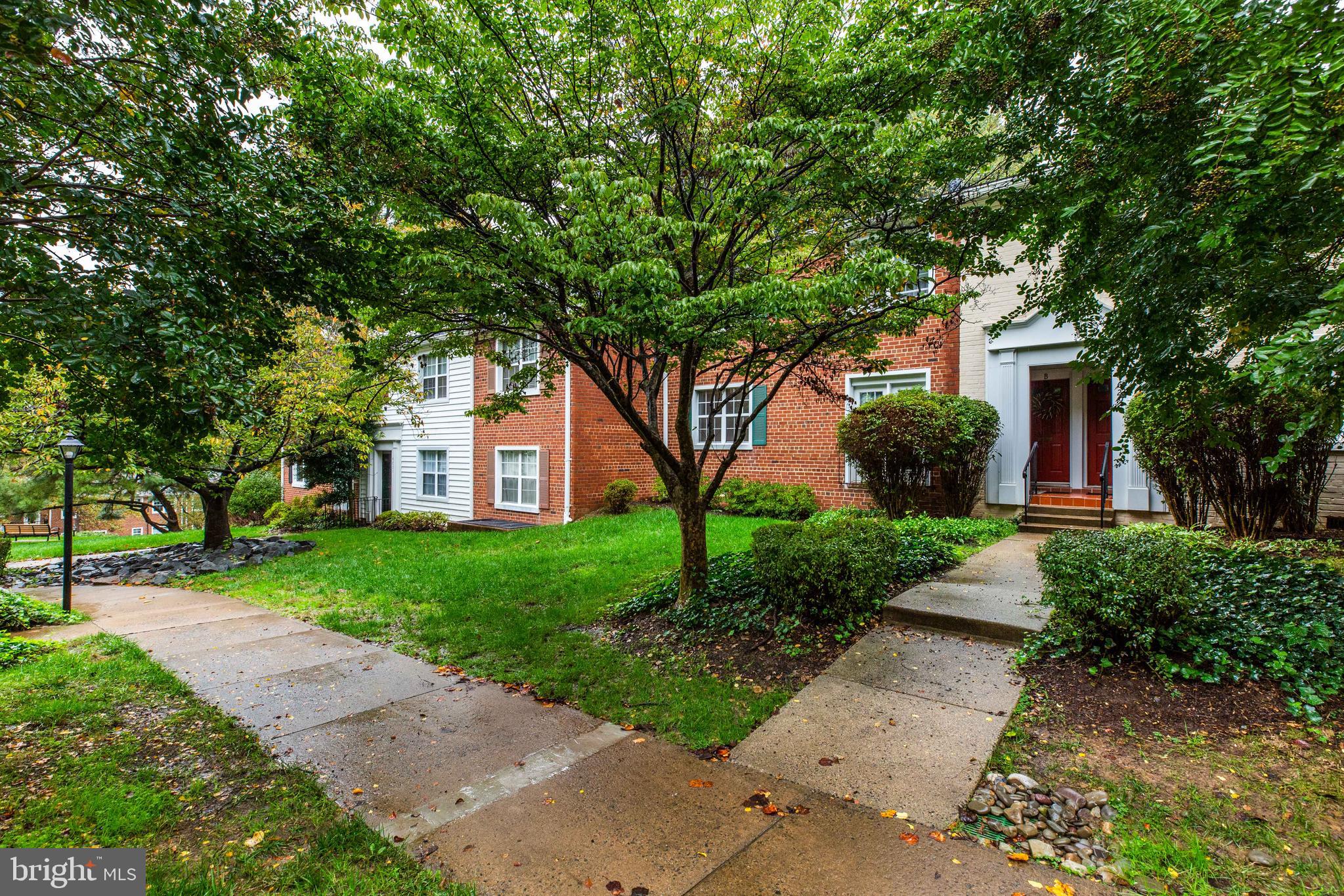 4629 28th Road South Arlington, VA 22206 - Photo 21 of 21 Gallery Image 21