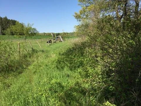 $265,000 | 24 & 63rd Avenue, Cannon Falls, MN 55009