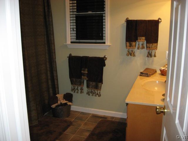 195 West Butternut Road Hellertown, PA 18055 - Photo 17 of 23 a bathroom with a sink and a mirror