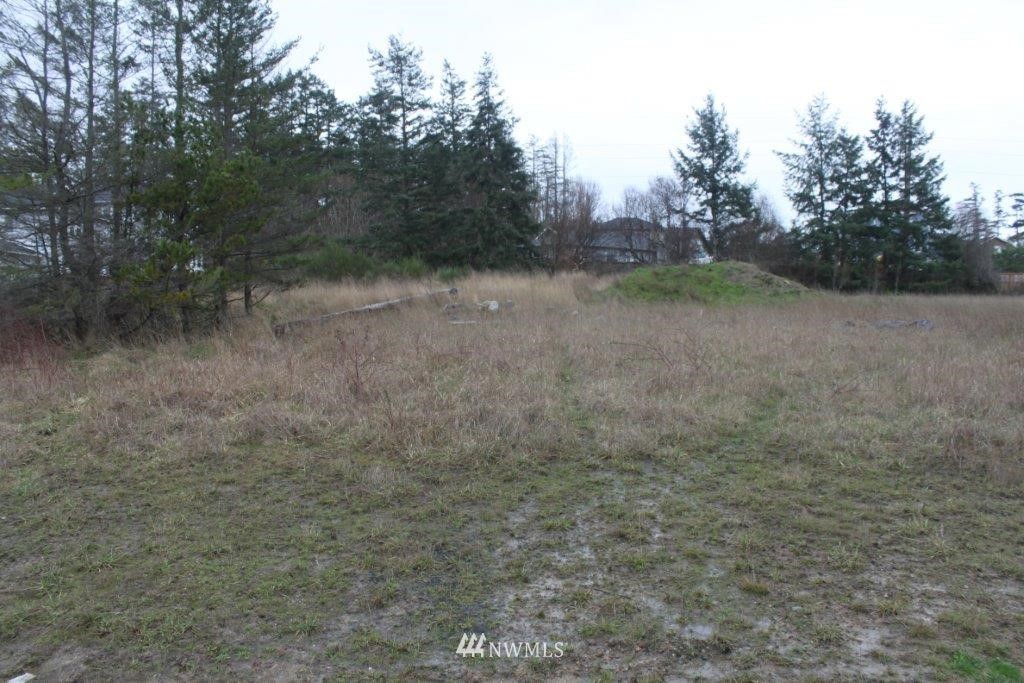 -xxxx Hamilton Ranch Road San Juan Island, WA 98250 - Photo 2 of 7 Gallery Image 2