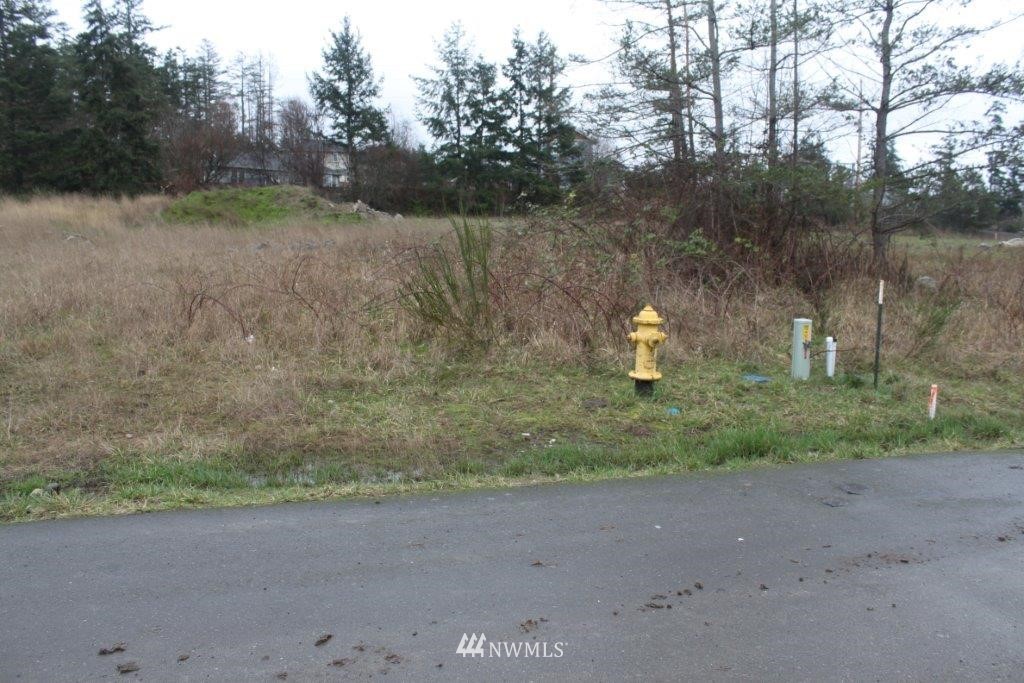 -xxxx Hamilton Ranch Road San Juan Island, WA 98250 - Photo 3 of 7 Gallery Image 3