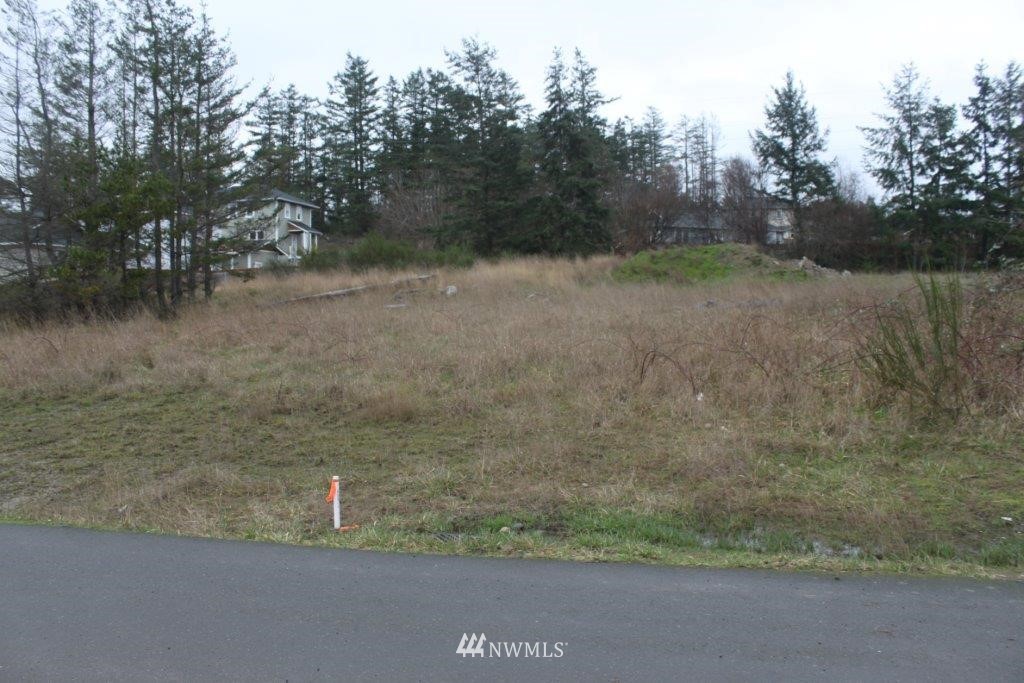 -xxxx Hamilton Ranch Road San Juan Island, WA 98250 - Photo 4 of 7 Gallery Image 4