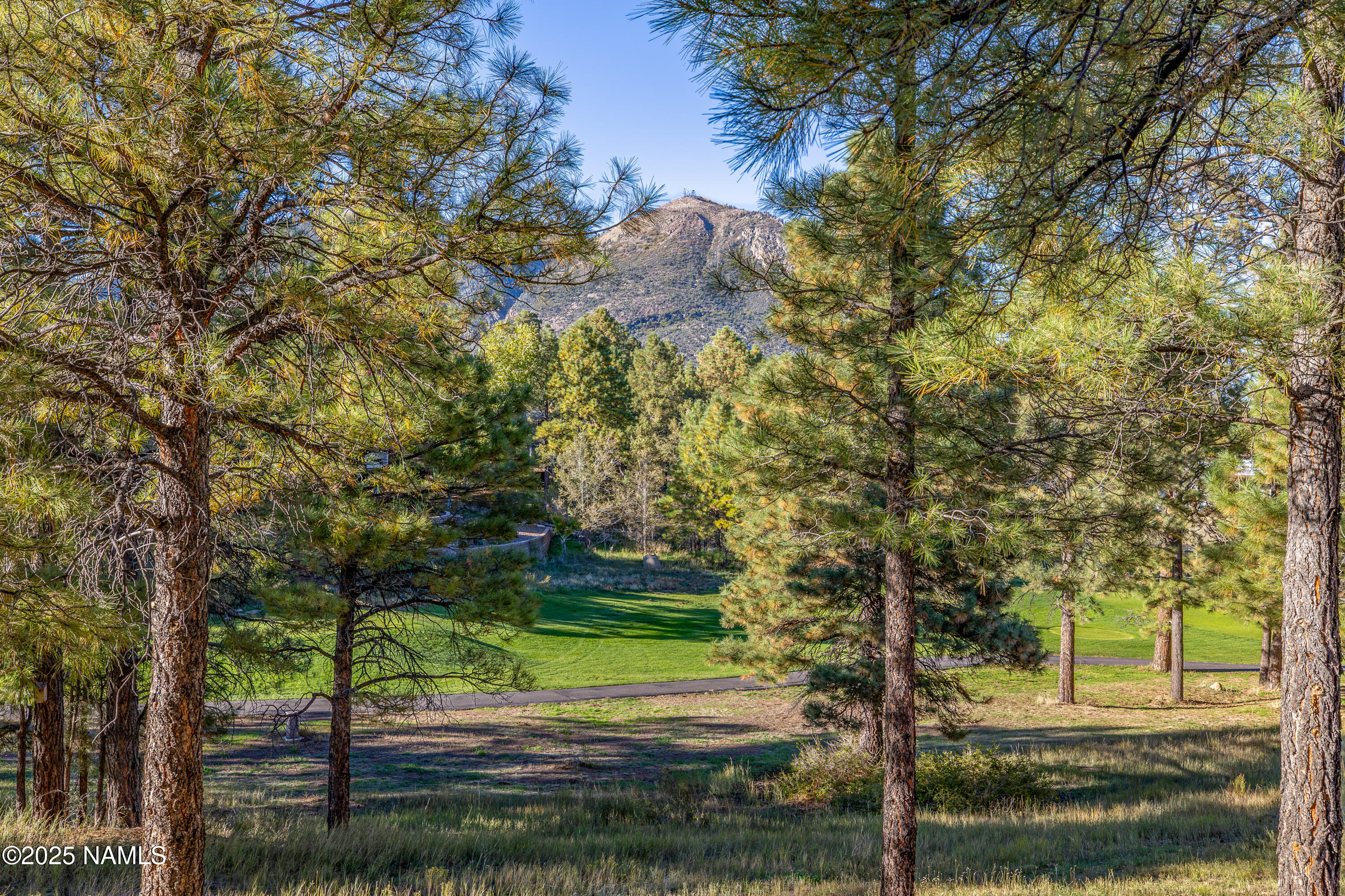 4024 Goodwin Circle Flagstaff, AZ 86004 - Photo 2 of 59 View from the back Deck