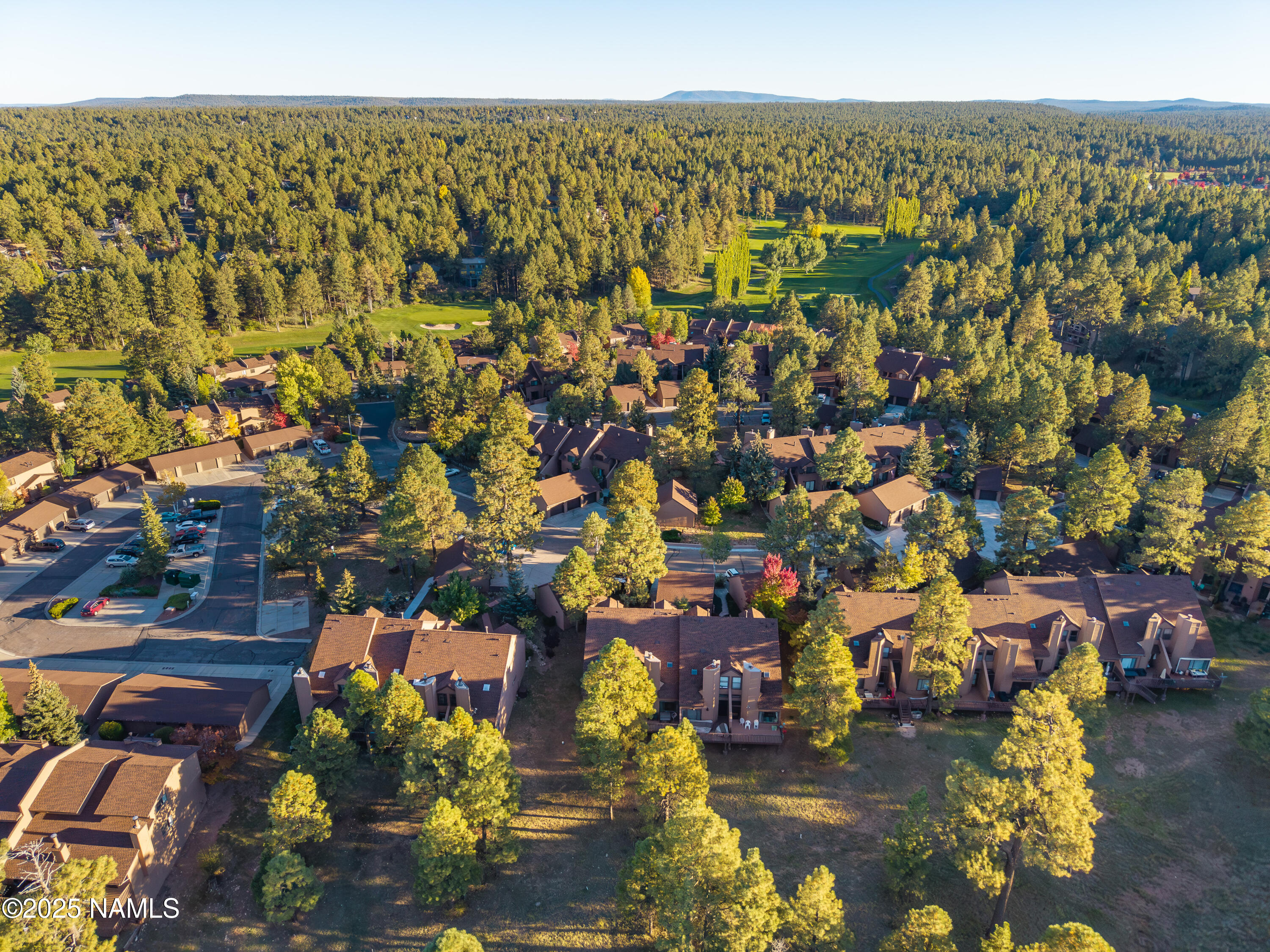 4024 Goodwin Circle Flagstaff, AZ 86004 - Photo 37 of 59 Aerial view of neighborhood