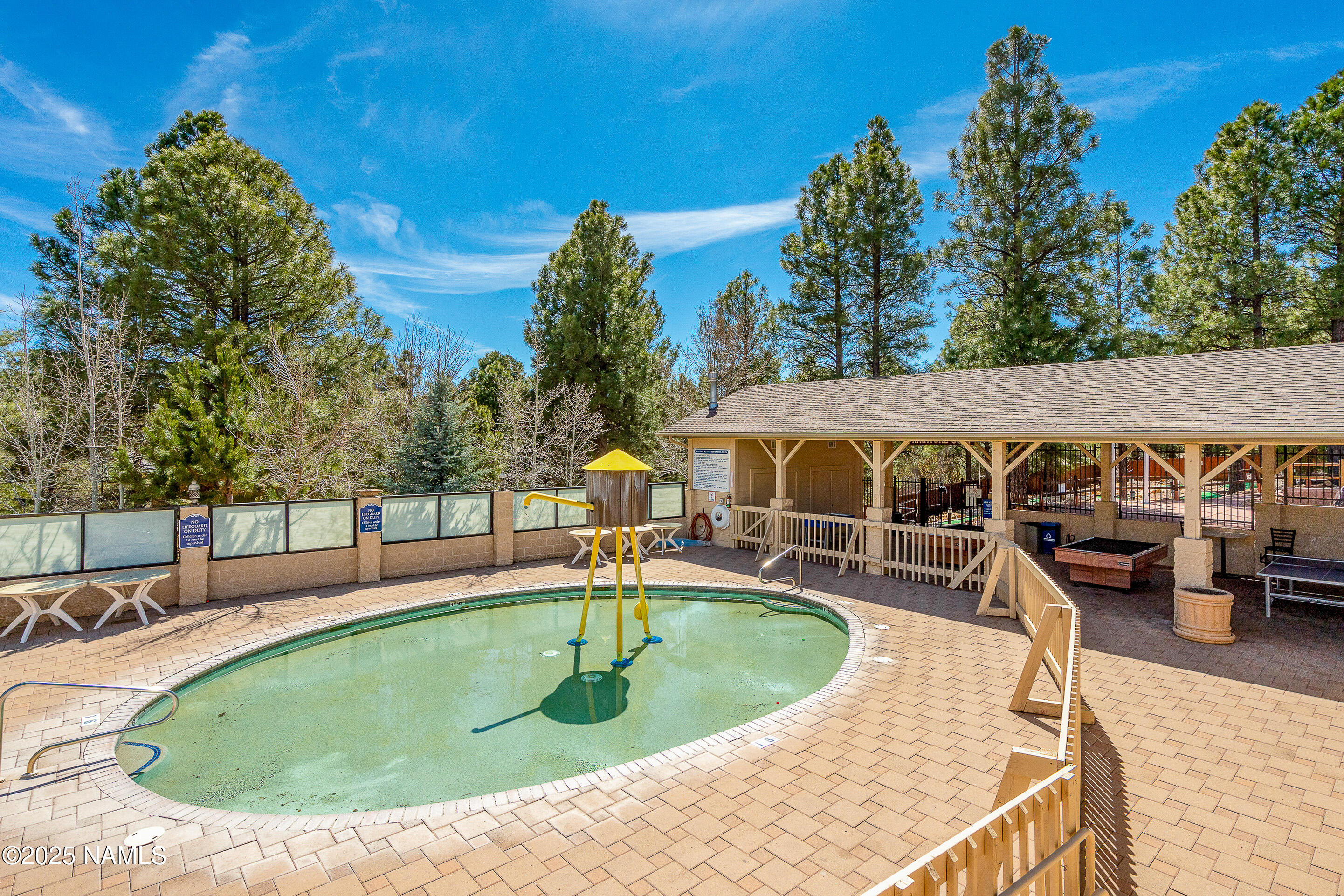 4024 Goodwin Circle Flagstaff, AZ 86004 - Photo 41 of 59 BearPaw kids pool