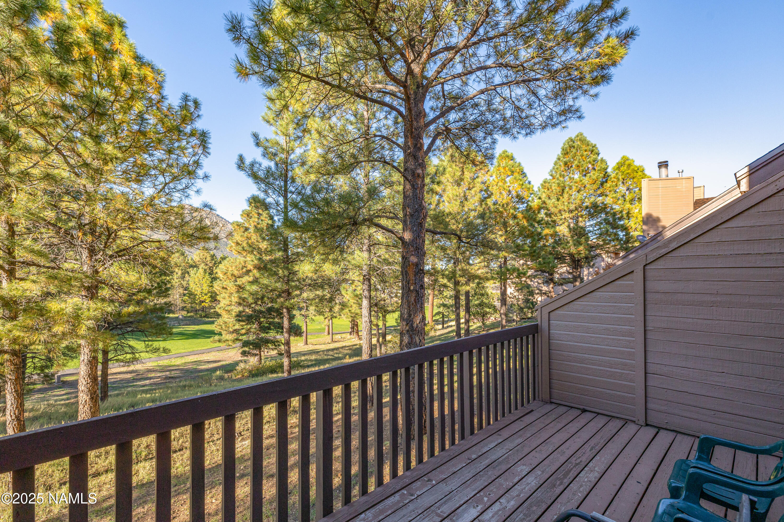 4024 Goodwin Circle Flagstaff, AZ 86004 - Photo 8 of 59 Room for seating and BBQ Grill