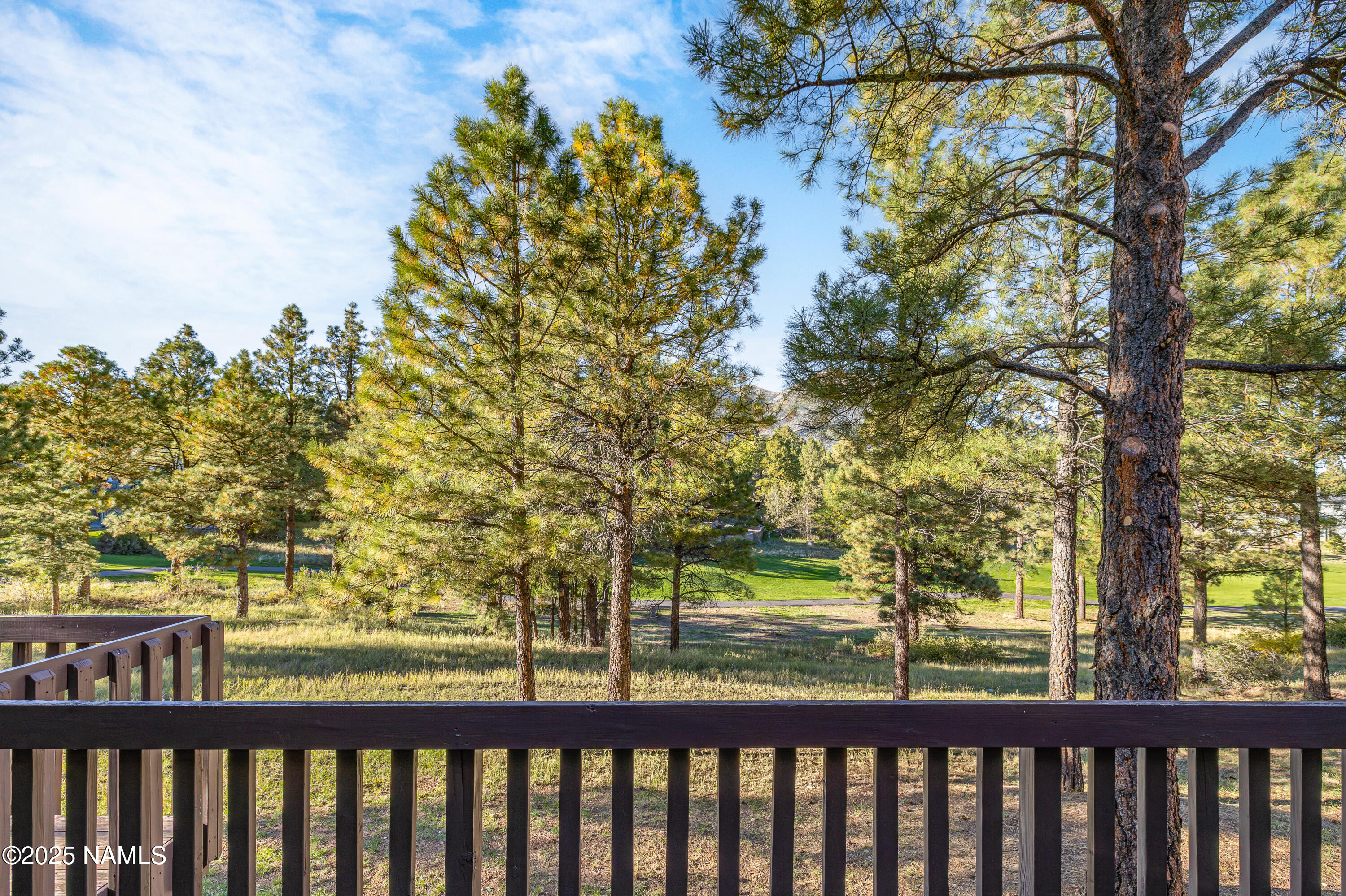 4024 Goodwin Circle Flagstaff, AZ 86004 - Photo 9 of 59 Back deck