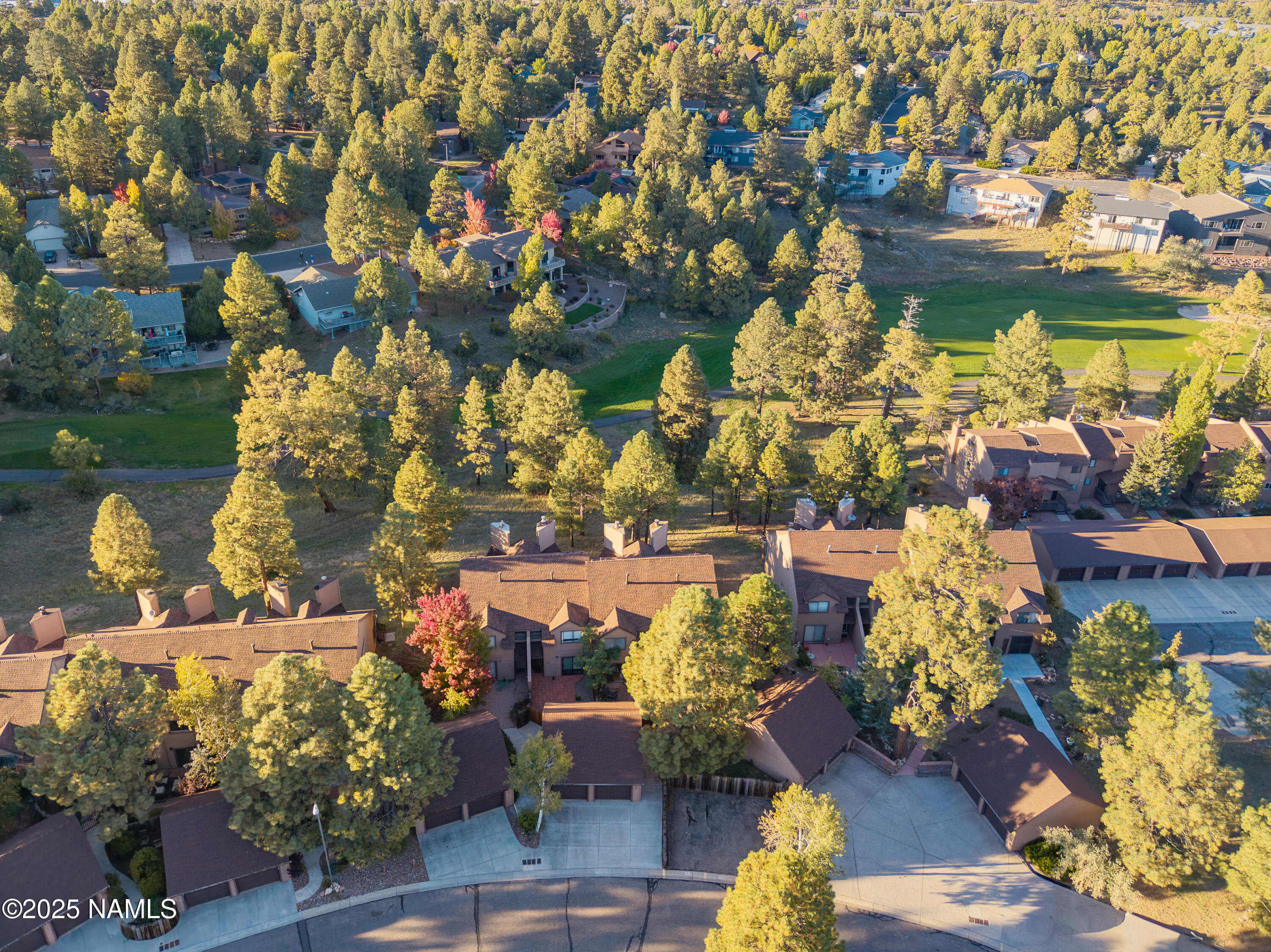4024 Goodwin Circle Flagstaff, AZ 86004 - Photo 10 of 59 Aerial view