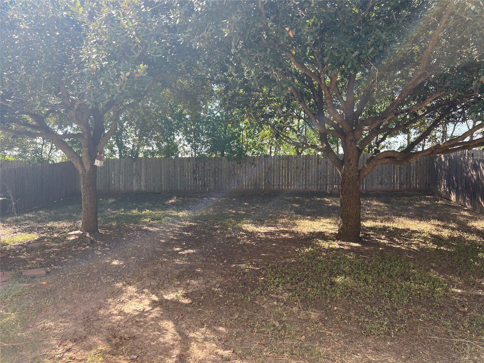 1209 Amberwood Loop Kyle, TX 78640 - Photo 21 of 21