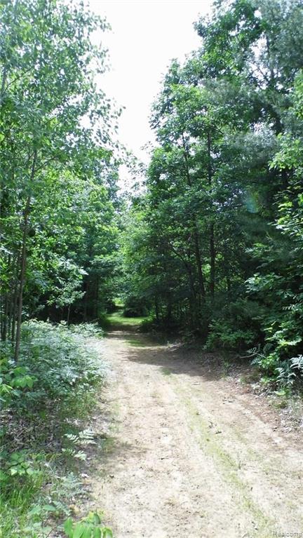 0 Sanilac Road Vassar, MI 48768 - Photo 3 of 9