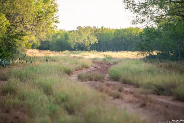 a view of a lake with a yard
