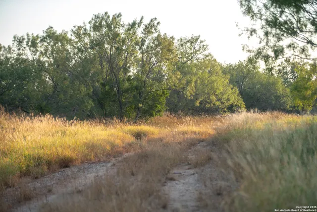 an aerial view of residential houses with outdoor space and trees