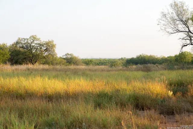 a view of yard with green space