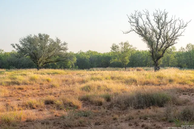 a view of a lake with a yard