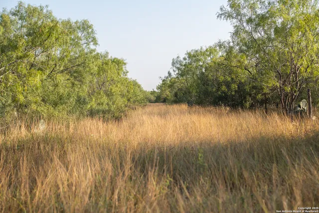 a view of a lake with mountain in background