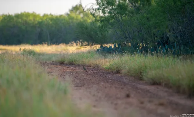 a view of a small yard